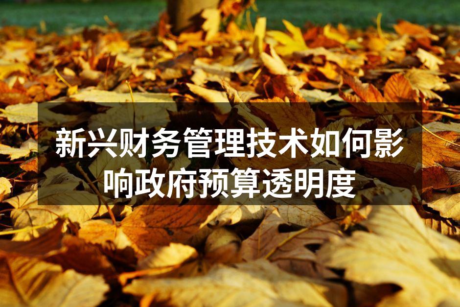 新兴财务管理技术如何影响政府预算透明度