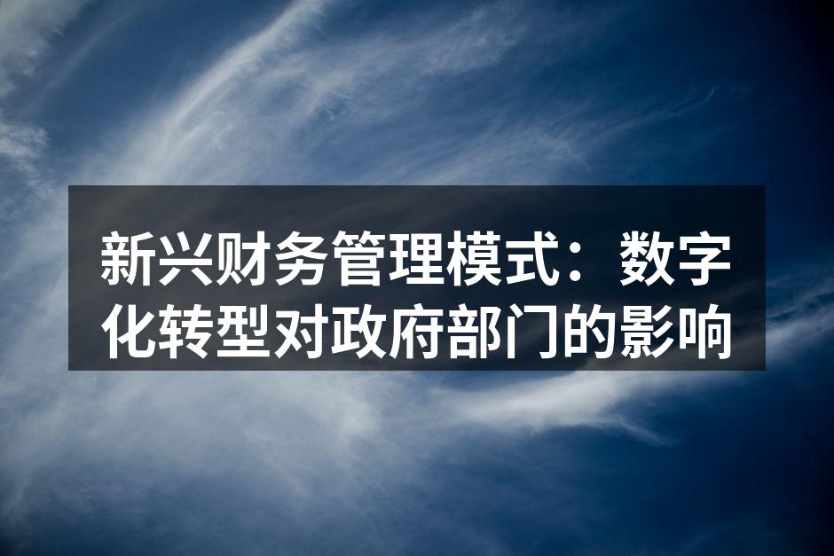新兴财务管理模式：数字化转型对政府部门的